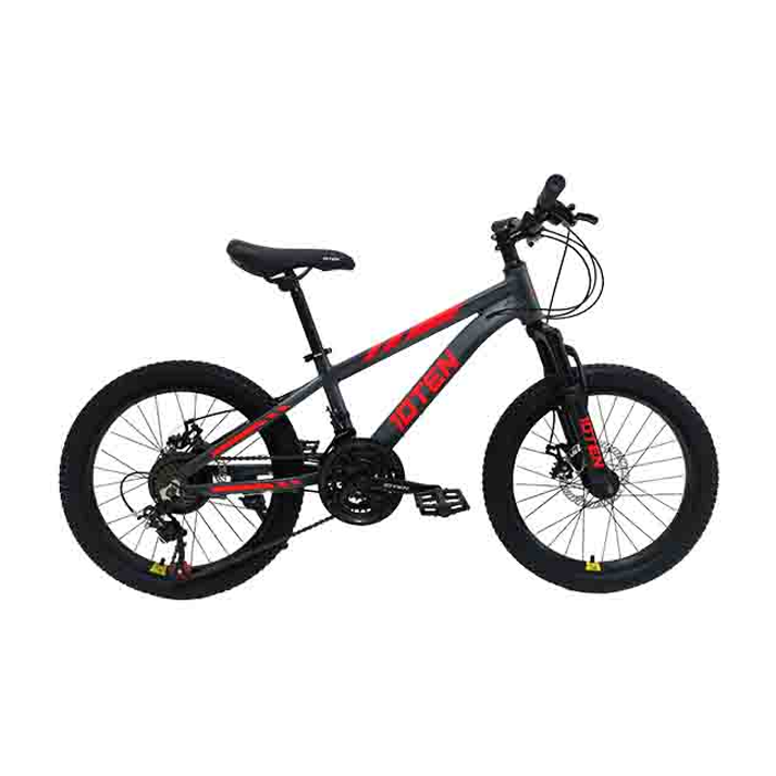 Bicicleta 10Ten Niño Aro 20 Grey Red
