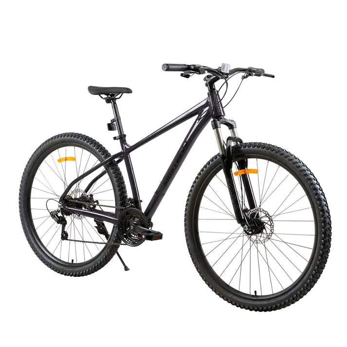 Bicicleta Limitless Raptor 1.0 Gris