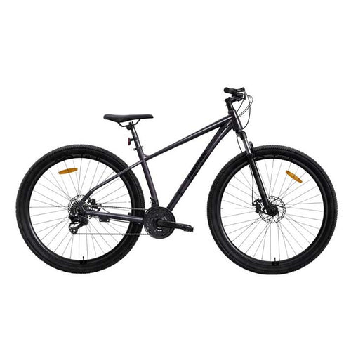 Bicicleta Limitless Raptor 1.0 Gris